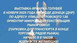 Ярмарка Голубей Донецк ДНР 8 ноября 2025г.mp4