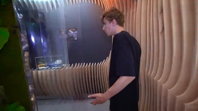 Экстремальные КАМУФЛЯЖНЫЕ Прятки с ПОДПИСЧИКАМИ ! смотреть онлайн