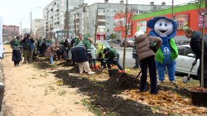 Новые растения на Наседкина