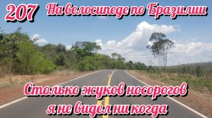 Полчища жуков носорогов. На велосипеде по Южной Америке.День 207 Бразилия