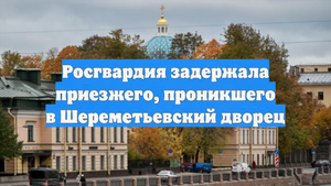 Росгвардия задержала приезжего, проникшего в Шереметьевский дворец