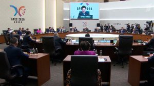 МИД РФ: декларация саммита АТЭС станет дополнительным стимулом для развития экономики