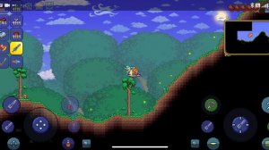 тераррия выживание с китом драгона