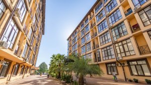 Хотите жить в Сириусе? Вот шикарный вариант