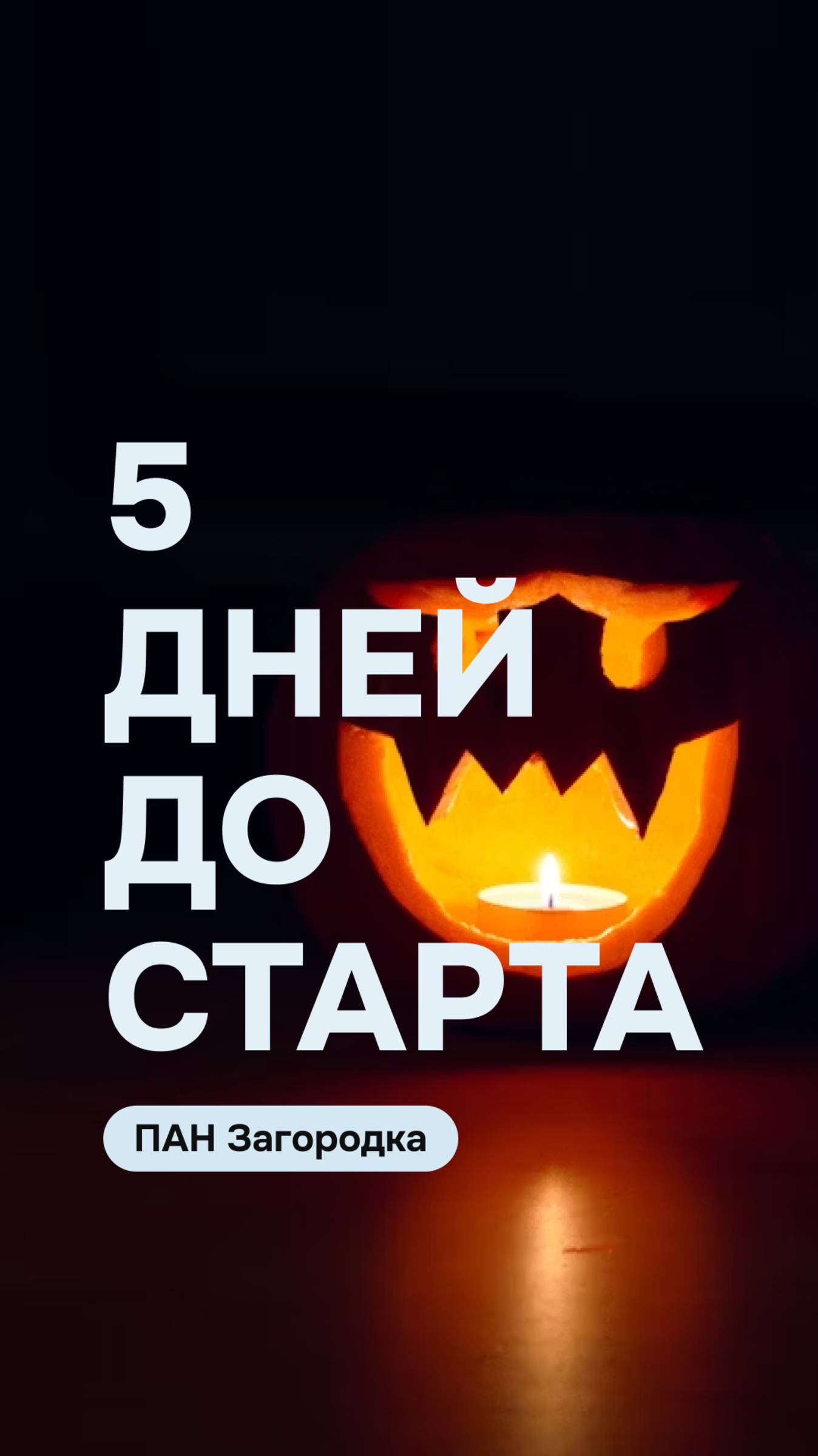 5 дней до старта ГЕЙМИФИКАЦИИ 2.0 по загородной недвижимости в ПАН Партнер