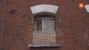 Программа «Город. Новости по-выборгски» от 31 октября 2025 года