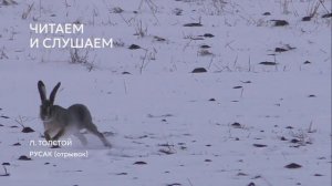 Возьмите на урок: Л. Толстой "Русак"