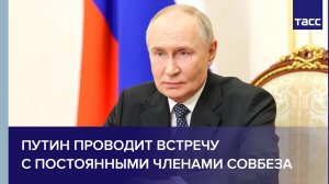 Путин проводит встречу с постоянными членами Совбеза