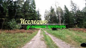Исследую домашние просторы