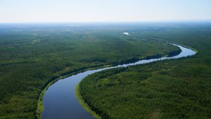 В Югре появятся 6 новых заказников и памятников природы