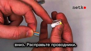 Коннектор RJ-45 (8p8c) cat.5е, для одножильного и многожильного кабеля (нож с 2-мя зубцами), Netko