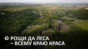 Стратегия сохранения природного достояния Ставрополья