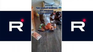 Ярик на приколе (сборник Rutube) [2025] №3 😄😄😄 ролик 2025 г. 💙😻