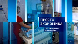 Просто экономика N263