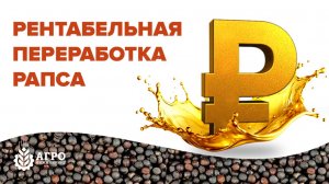 Где деньги в переработке рапса?