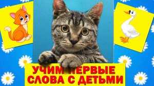 УЧИМСЯ ГОВОРИТЬ - ТЕХНОЛОГИЯ ЗАПУСКА РЕЧИ - ЗВУКОПОДРАЖАНИЯ ДЛЯ МАЛЫШЕЙ