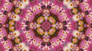 Видеофоны!!! Видеофон Осеннее Волшебство Хризантем!!!