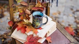 ТЕПЛО ОСЕННИХ ДВОРИКОВ