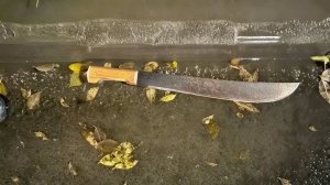 "Повсюду была кровь": стали известны детали зверского нападения с мачете