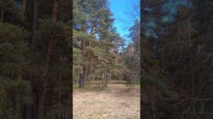 №96 Повышение вибраций