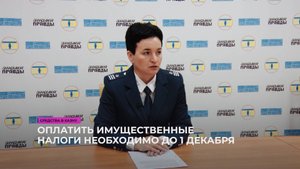 Оплатить имущественные налоги необходимо до 1 декабря