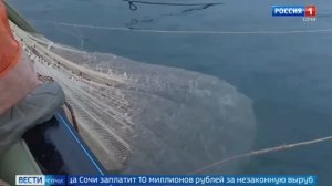 🐟 На Черноморье начался промысловый сезон барабули