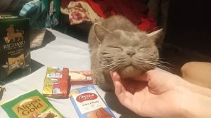 что купили с мэдовецом