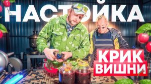 Как сделать настойку Крик Вишни дома за 10 минут