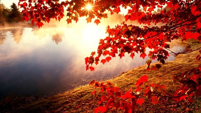 ГОЛУБКИ🔥(Вавян и Белые Тени)🔥🔥🔥