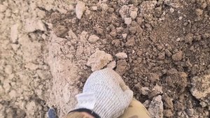 0608 / Летний коп / Немного медных монет / Поиск монет и кладов с XP Deus 2