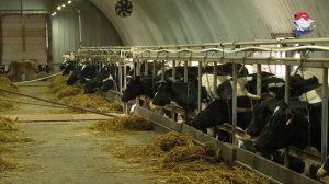 ООО «Крутоберёгово»