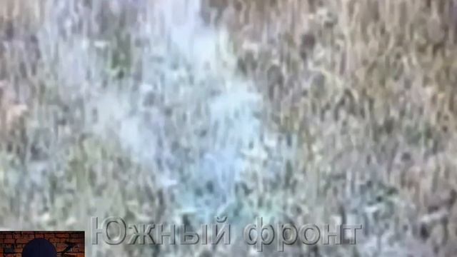 Сначало выкупили ВСУшников из норы, а потом обезвредили