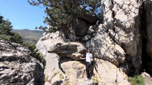 Не торопи минуты жизни - Наталья Дозорова.mp4