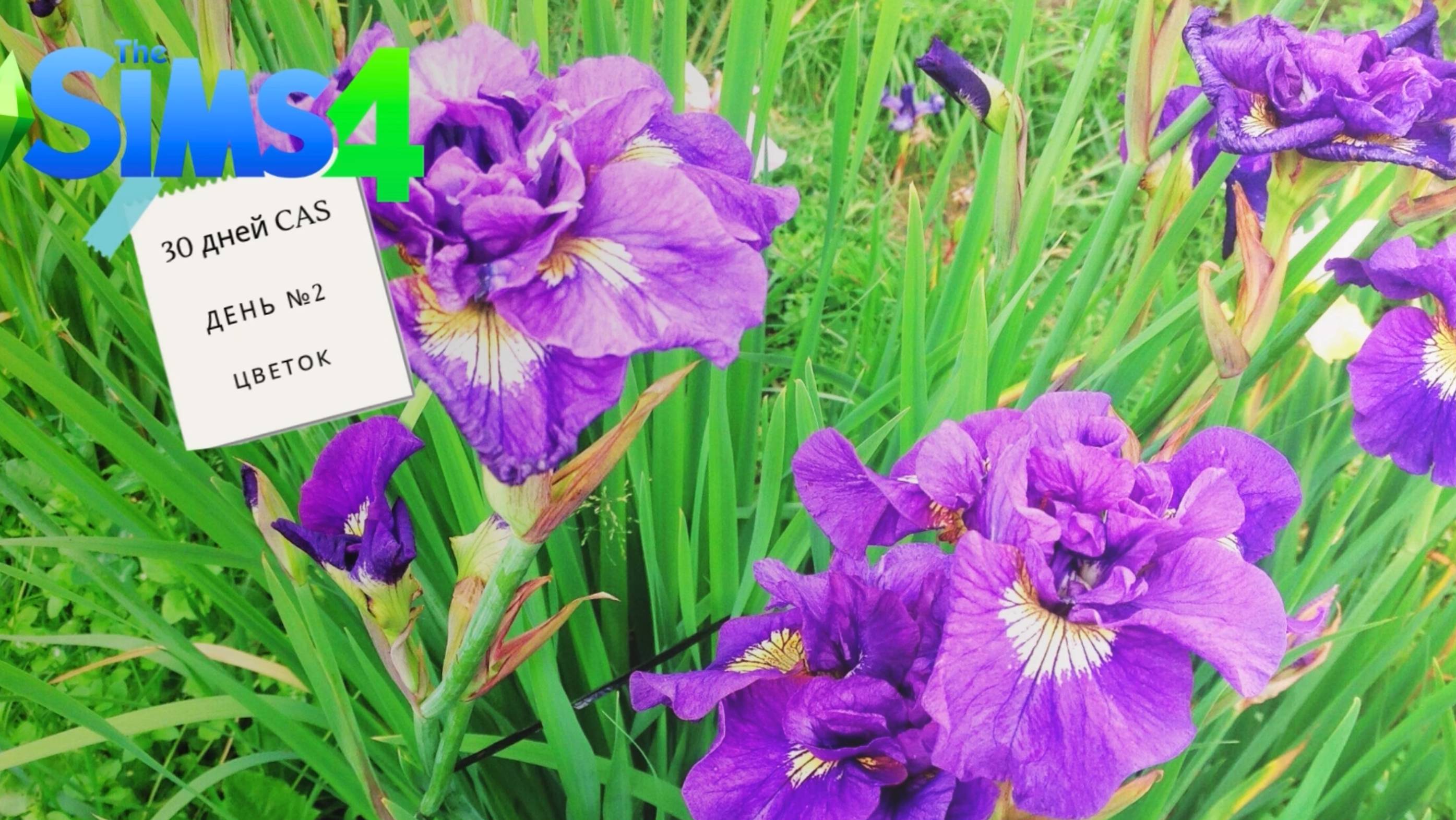 Sims 4. 30 дней CAS. День 2. Цветок 24.10.2025, перезалив с YouTube
