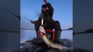 Как семечки