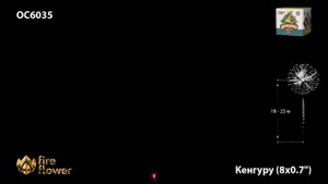 ОС6035 Кенгуру 401 - фейерверки и салюты в Новосибирске в КОЛОРЛОН ВТД