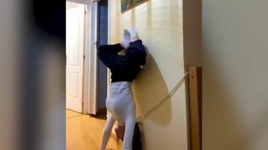 Когда всё пошло не по плану — и это увидел весь интернет!