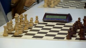 ШАХМАТНАЯ ПАРТИЯ ЕДИНСТВА