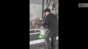 Линия для фасовки муки в ПП мешки FM-OP-D50S