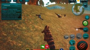 Играю за фасоль