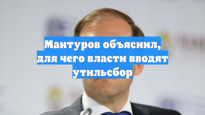 Мантуров объяснил, для чего власти вводят утильсбор