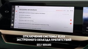 Отключаем на зиму!  ELKA Система экстренного объезда препятствий Джили Монжаро/ Geely Monjaro