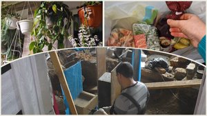 Ремонт в доме опоры под лаги. Обзор продуктовой закупки. Радость в оранжерее