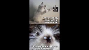 Разговоры с коллекторами 101