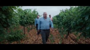 Поля, коровы и топ-хит: как сельское хозяйство зазвучало в ритмах чартов для Argoseguro