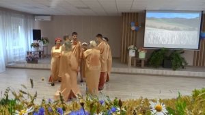 ромашка.  василёк