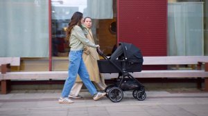 Коляска 2 в 1 Nuna TRIV lx All SeasonSet с зимним комплектом