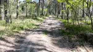 Дорога к затону, Деулино, Пра