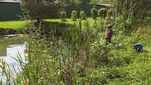 РЫБАЛКА НА ДАЧНОМ ПРУДУ!