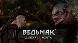 Окрестности Оксенфурта:)►Ведьмак 3 #21
